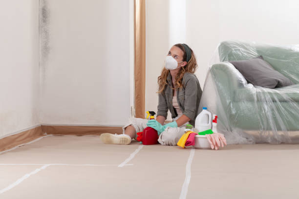 Reliable Bathroom Mold Removal contractor in Stevensville, MI by Mold Remediation HQ